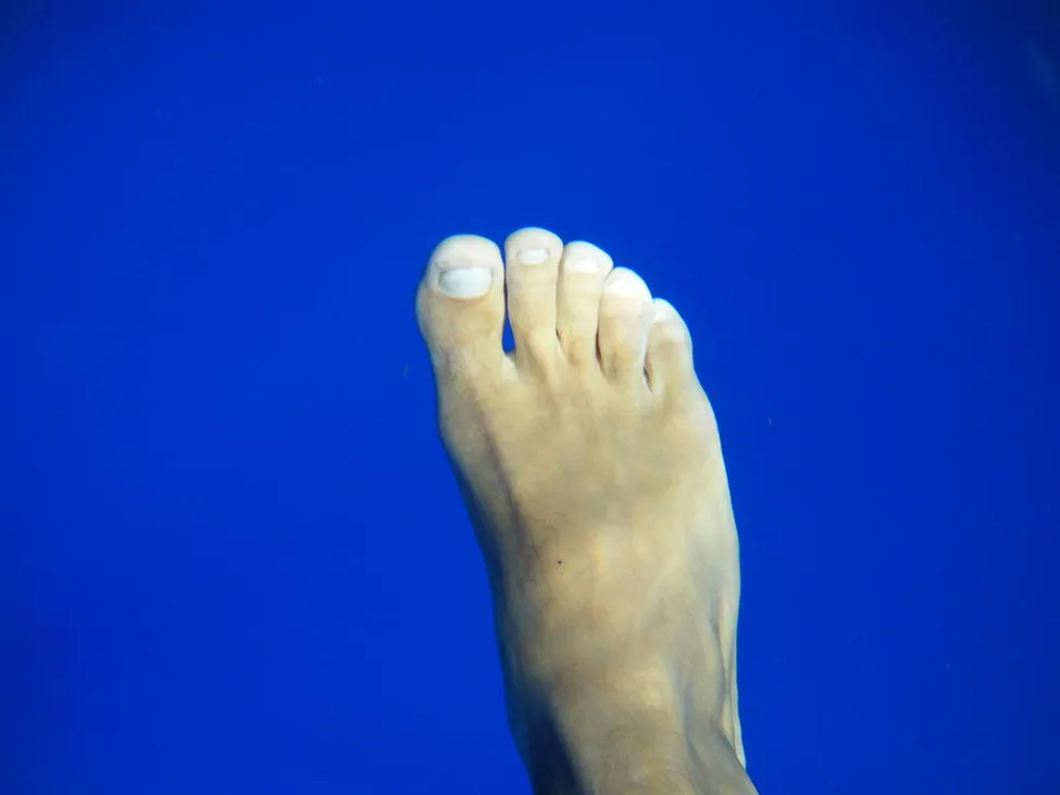 Klicka för att förstora