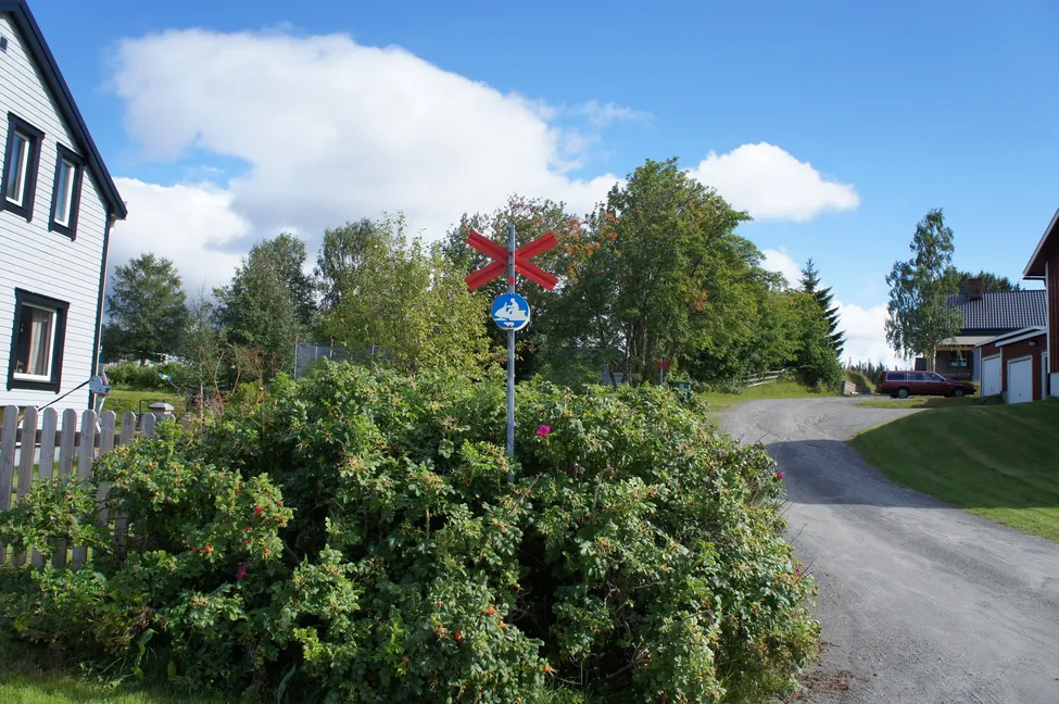 Klicka för att förstora