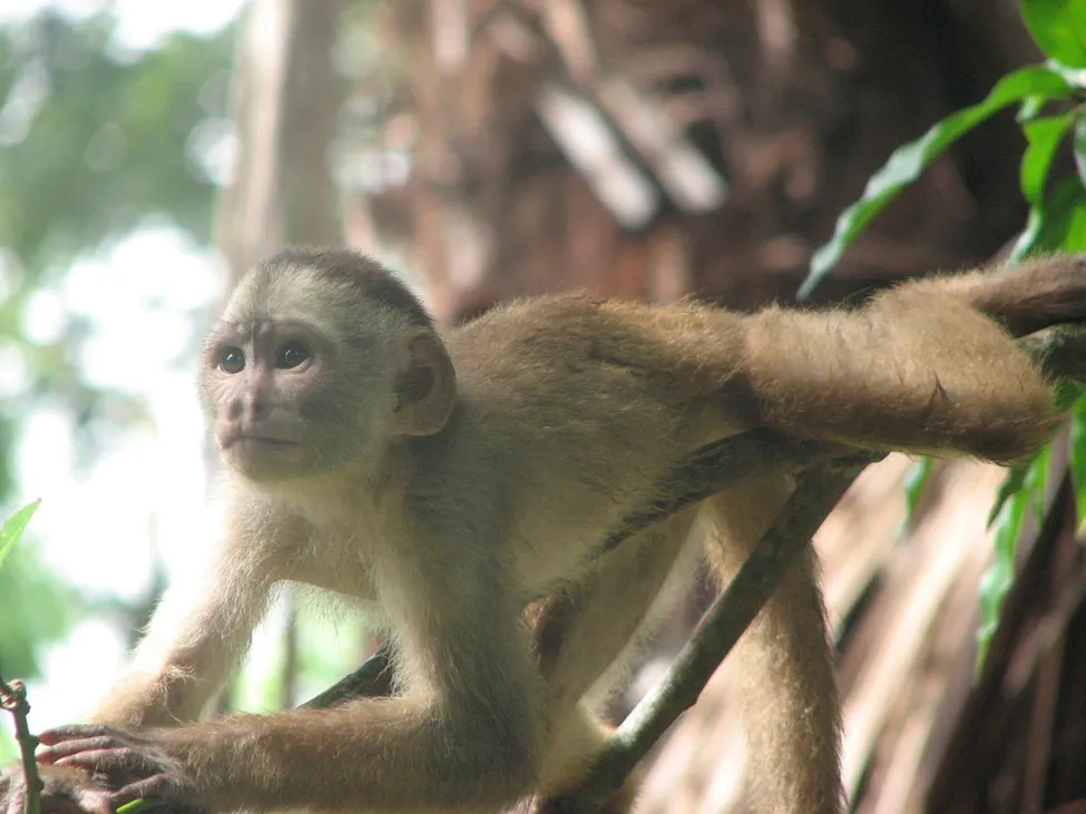 Klicka för att förstora