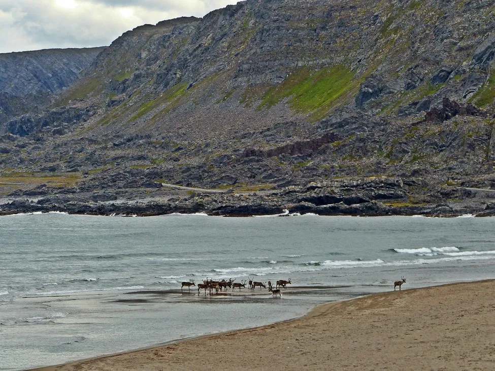 Klicka för att förstora