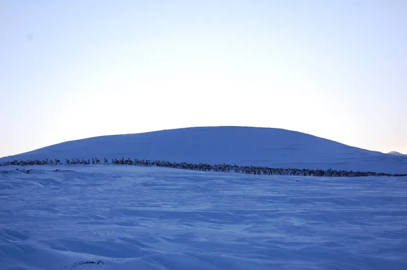 Klicka för att förstora