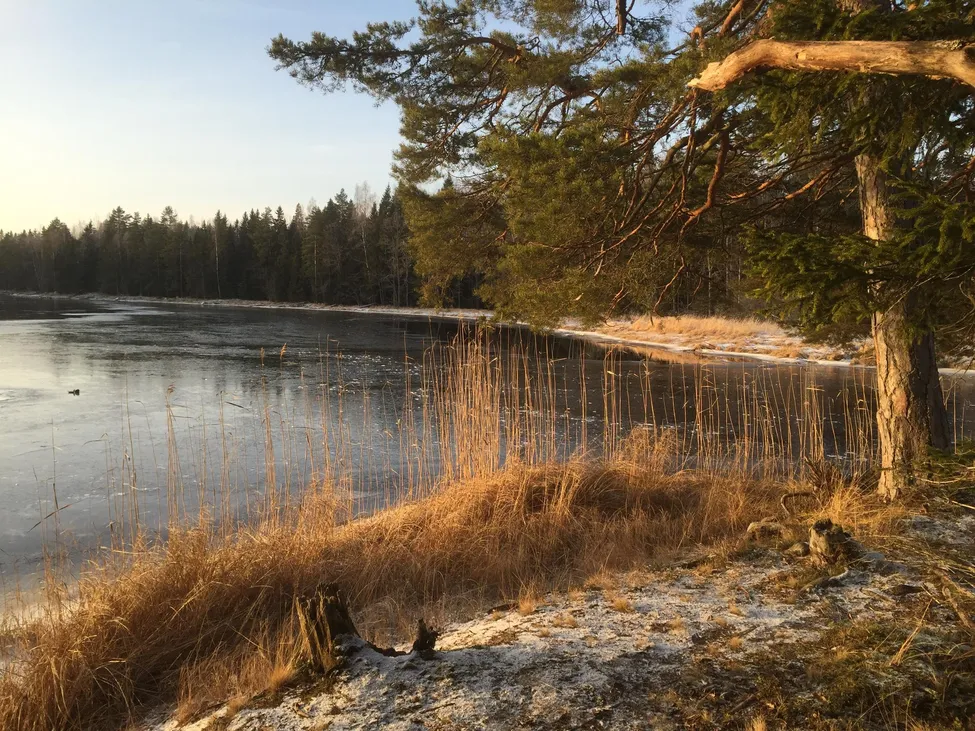 Klicka för att förstora
