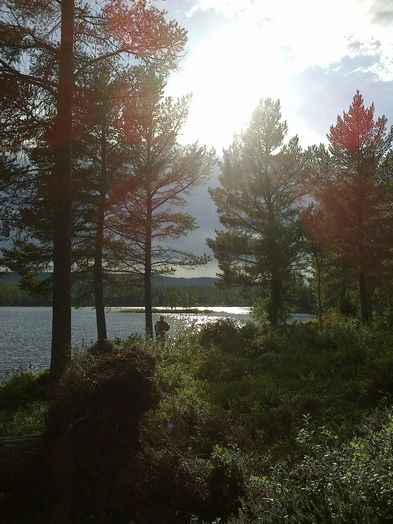 Klicka för att förstora