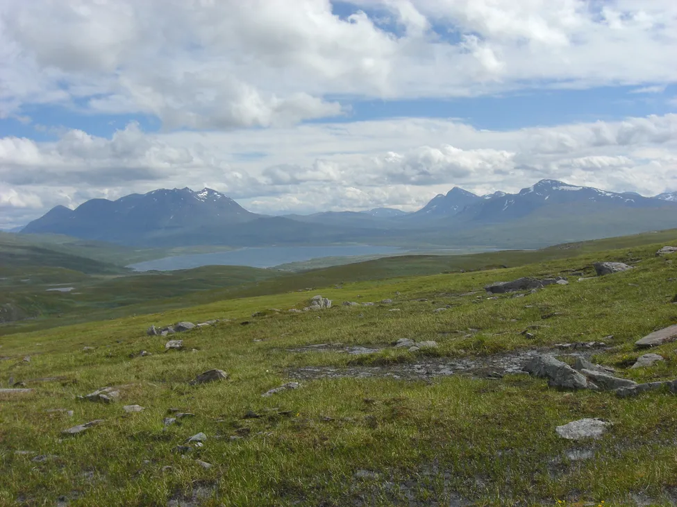 Klicka för att förstora