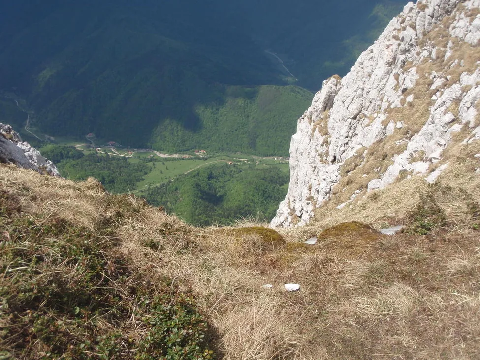 Klicka för att förstora