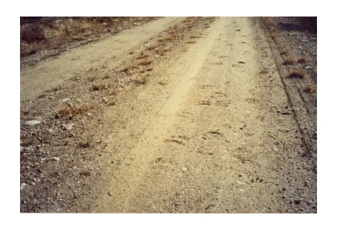 En metod att lära känna sin hemtrakt