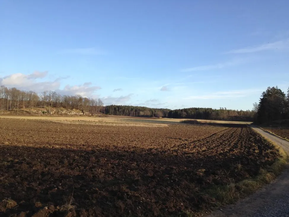 Klicka för att förstora