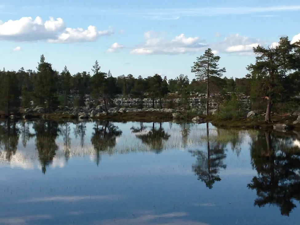 Klicka för att förstora