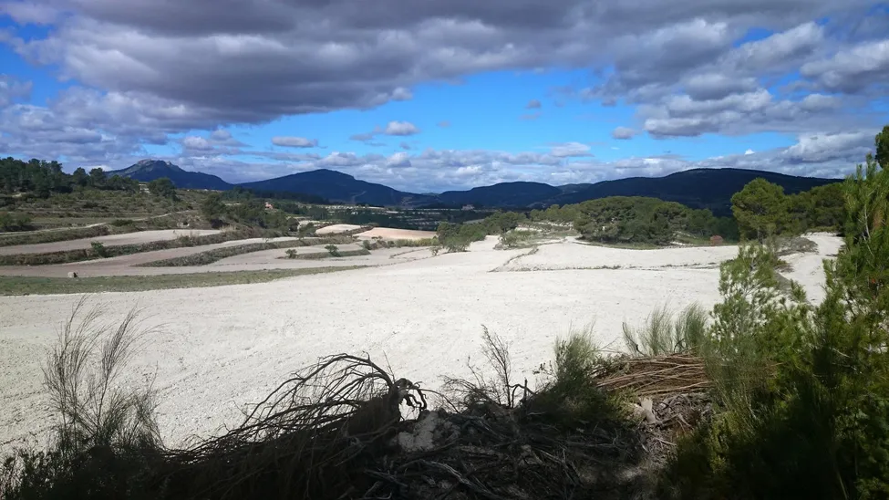 Klicka för att förstora