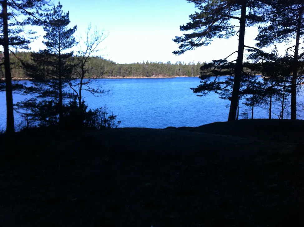 Klicka för att förstora