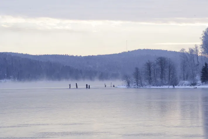 Klicka för att förstora