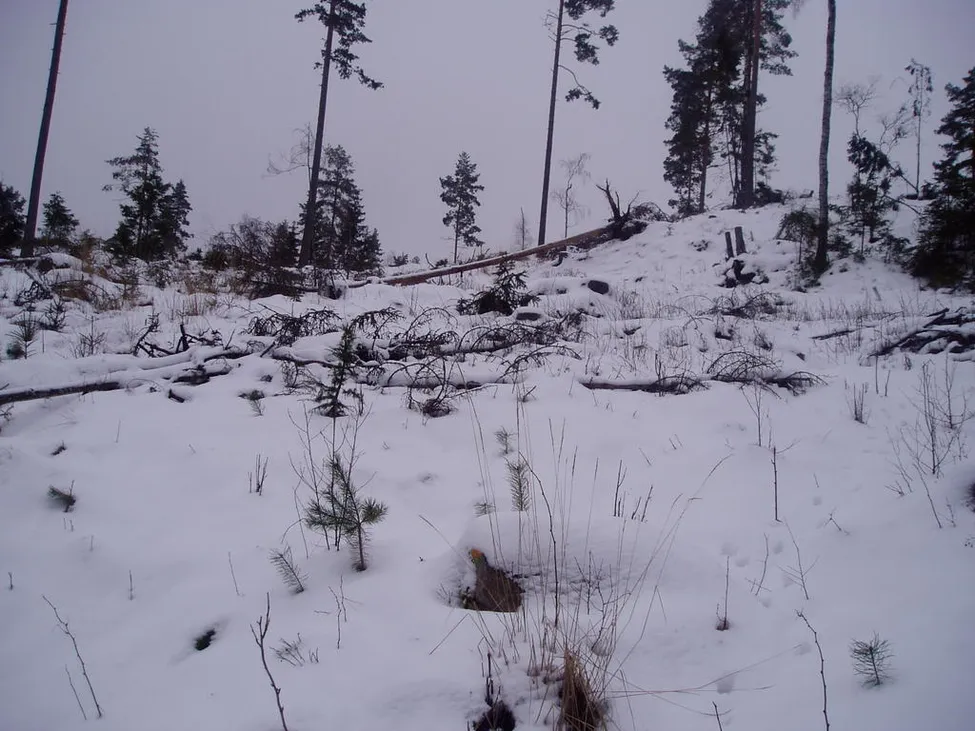 Klicka för att förstora