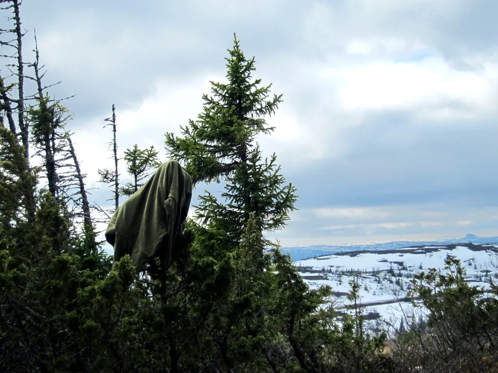 Klicka för att förstora