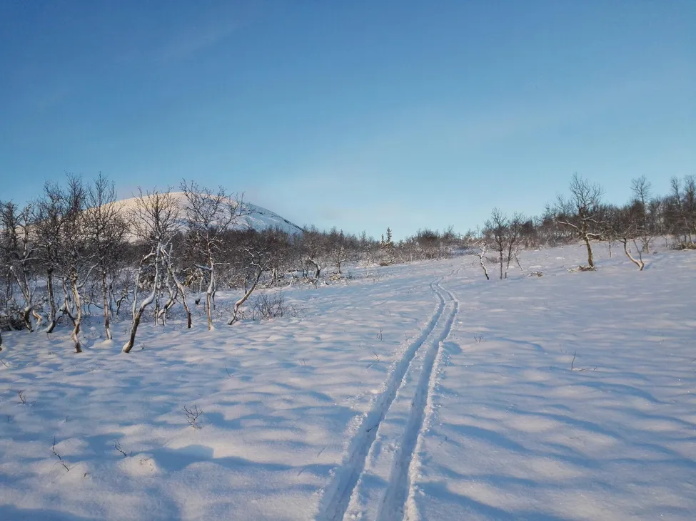 Klicka för att förstora