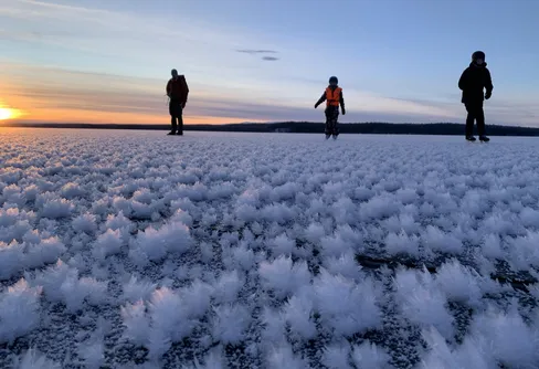 Familjeskridskotur bland isrosor 260105