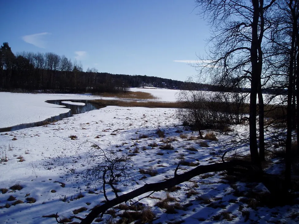 Klicka för att förstora