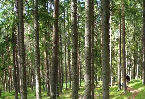 23 procent av Sveriges invånare bor nära skyddad natur