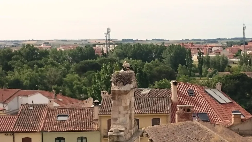 Klicka för att förstora