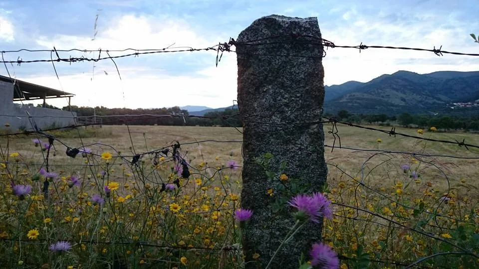 Klicka för att förstora