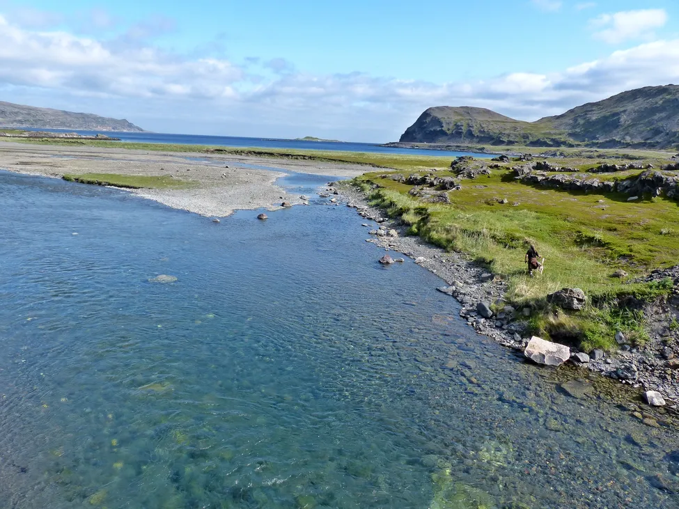 Klicka för att förstora
