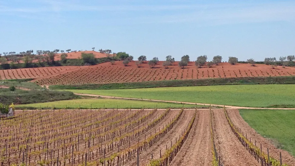 Klicka för att förstora