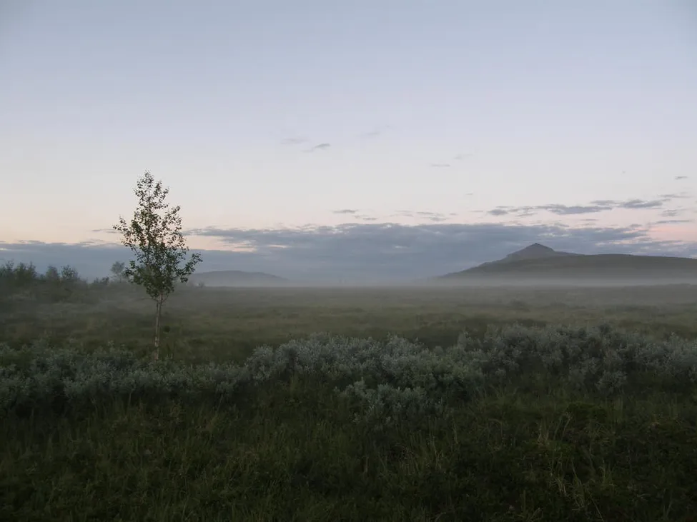 Klicka för att förstora