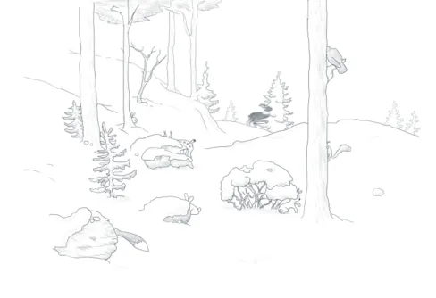 Lucka 20 - Naturfotografen