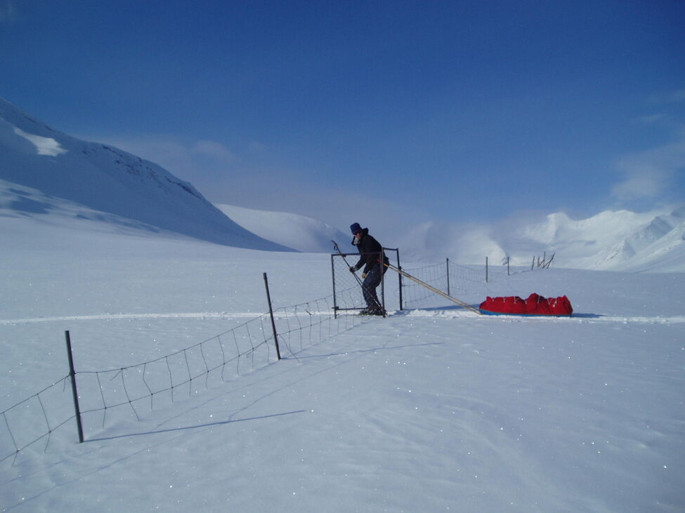 Klicka för att förstora