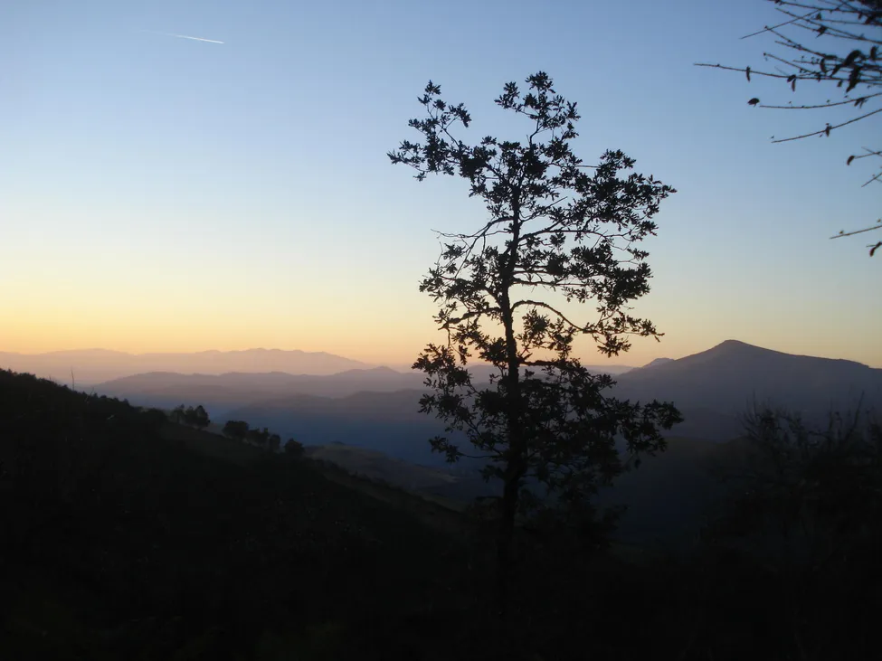 Klicka för att förstora