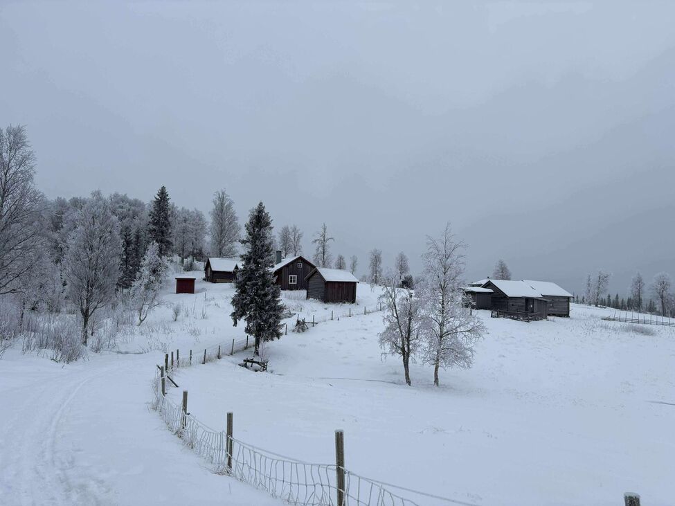 Klicka för att förstora