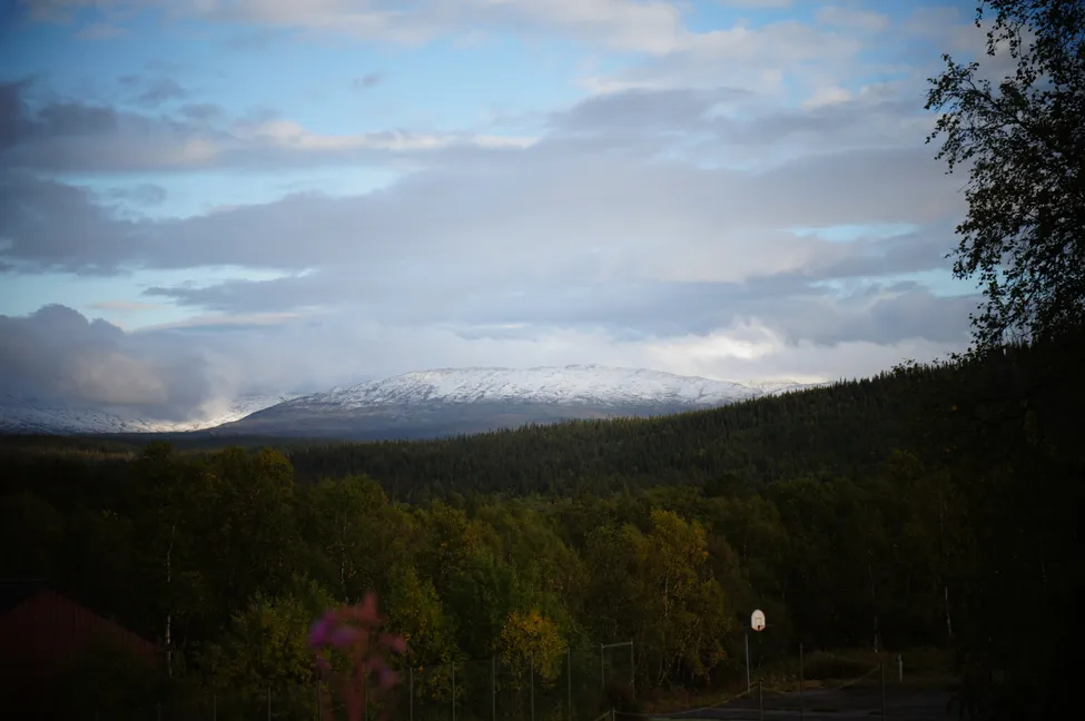 Klicka för att förstora