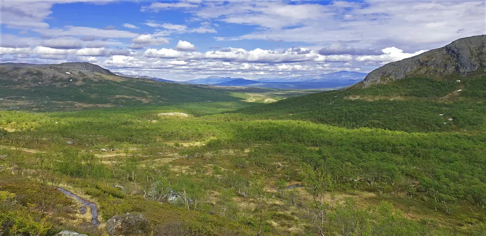 Klicka för att förstora