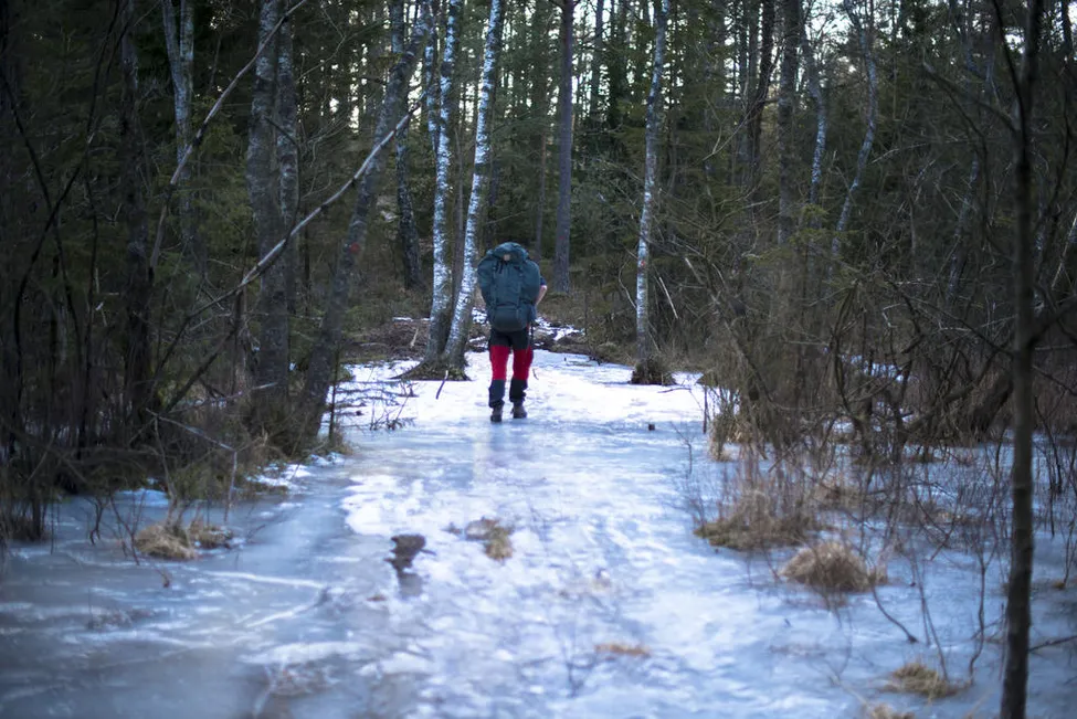 Klicka för att förstora
