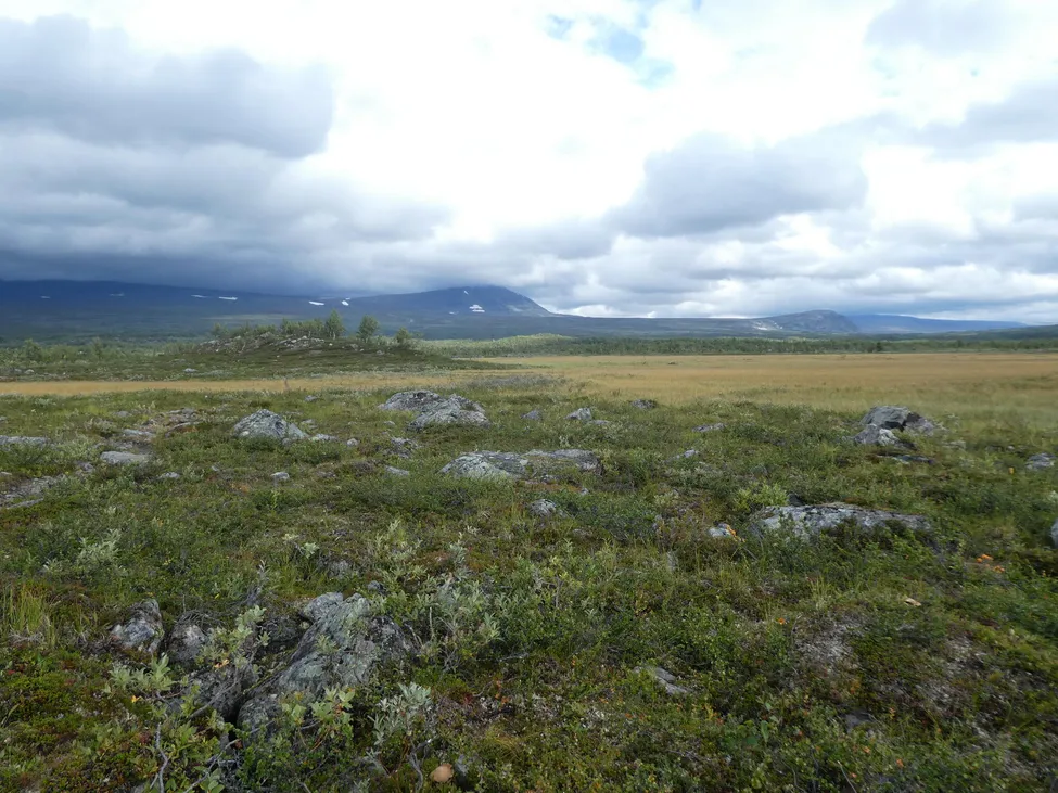 Klicka för att förstora