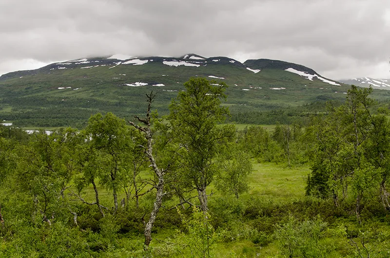 Klicka för att förstora