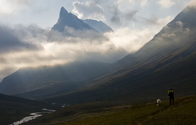 Klicka för att förstora