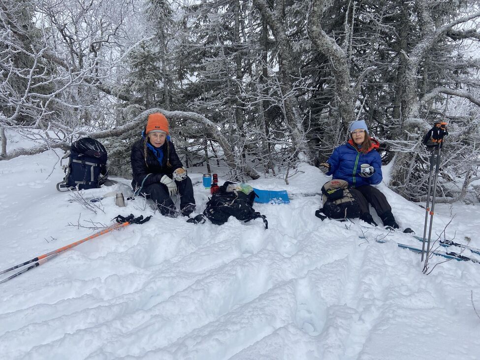 Klicka för att förstora