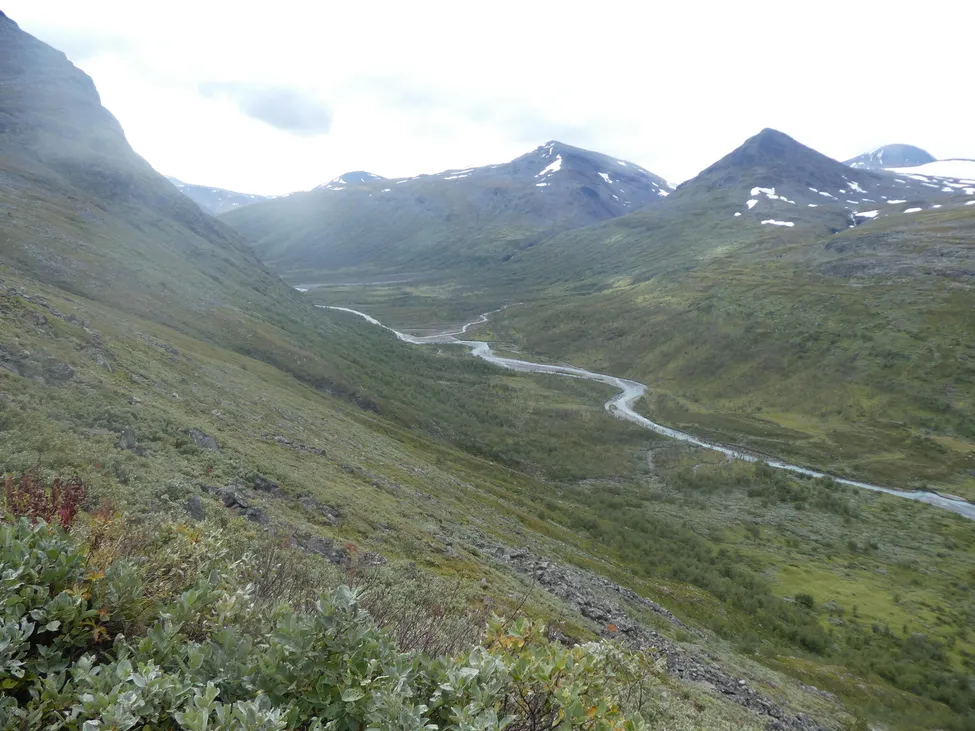 Klicka för att förstora