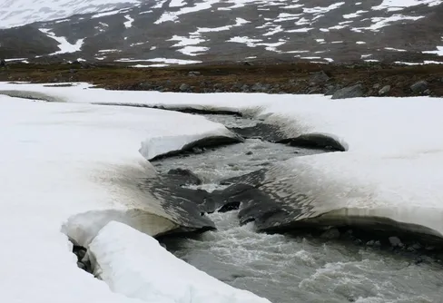 Sarekvandring i snösmältningstider (3)