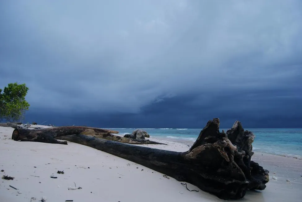 Klicka för att förstora