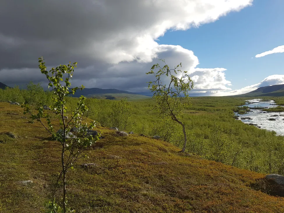 Klicka för att förstora