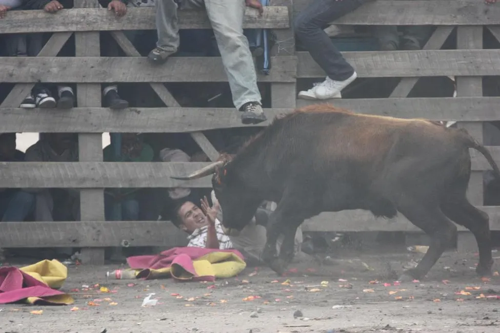 Klicka för att förstora