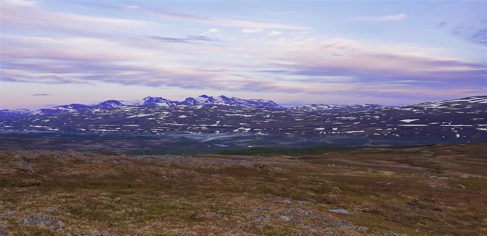 Klicka för att förstora