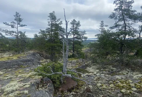 Fasta Åland 250706-09