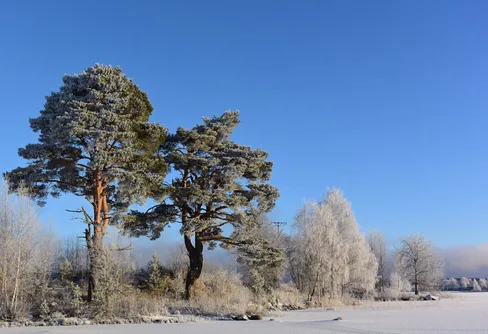 Ut och njut till helgen!