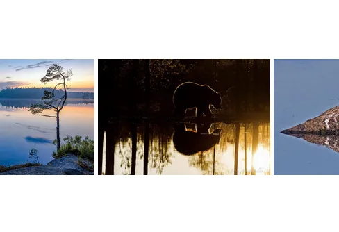 Vinnarna i fototävlingen - Vattenspeglingar