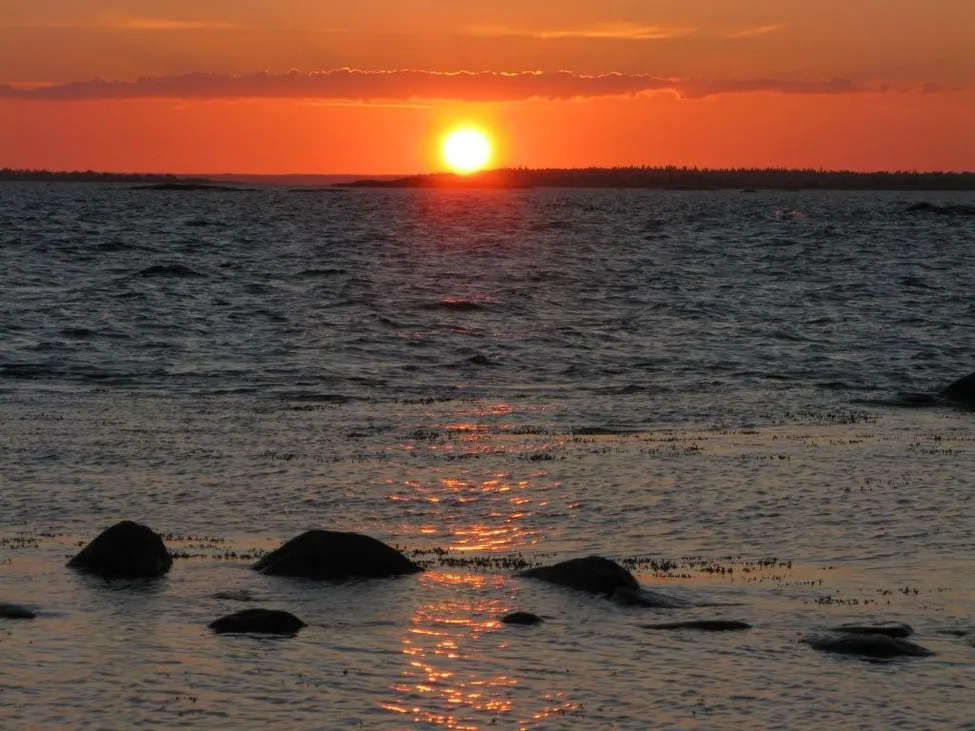 Klicka för att förstora
