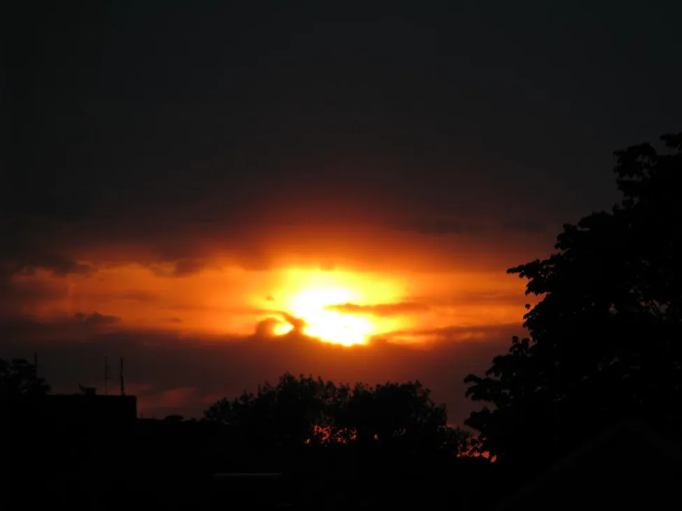 Klicka för att förstora