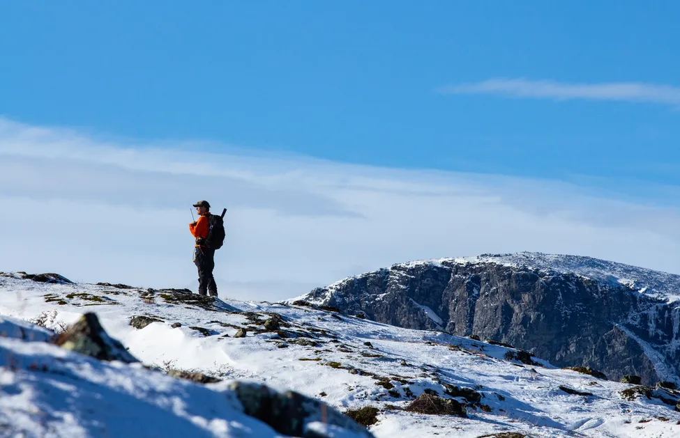 Klicka för att förstora
