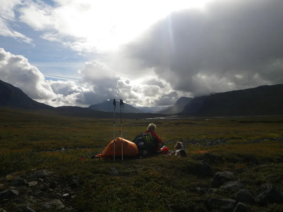 Klicka för att förstora